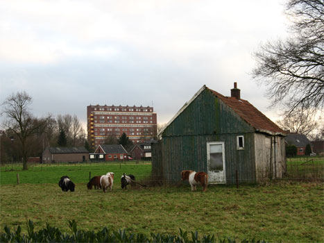 Fra Paalman